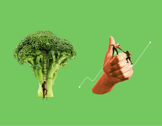 Prose Hair Care Review